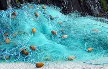 HDPE Fishing Nets